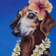 Illustration for article titled Elder Dog Training Advice